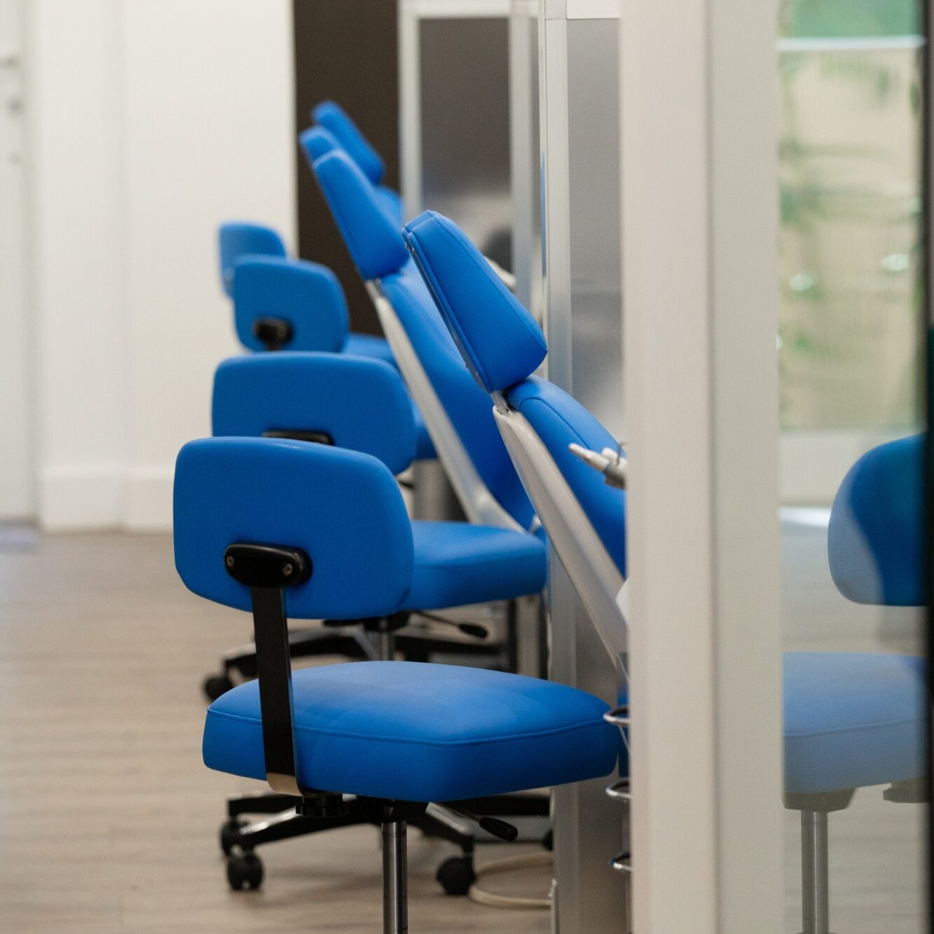 palmetto bay orthodontist